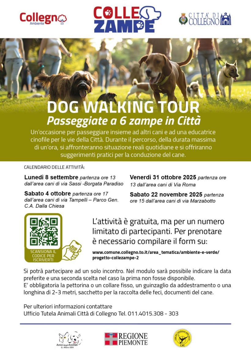 Dog walking tour passeggiate a 6 zampe in Città