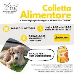 Colletta alimentare sabato 11 ottobre. Vi aspettiamo!