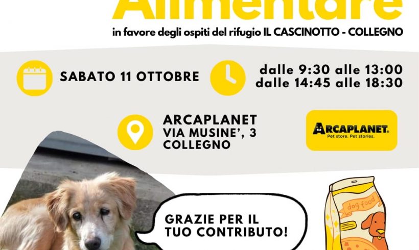 Colletta alimentare sabato 11 ottobre. Vi aspettiamo! Colletta alimentare sabato 11 ottobre. Vi aspettiamo!