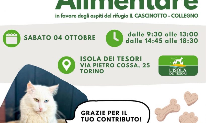 Colletta alimentare sabato 4 ottobre. Vi aspettiamo! Colletta alimentare sabato 4 ottobre. Vi aspettiamo!