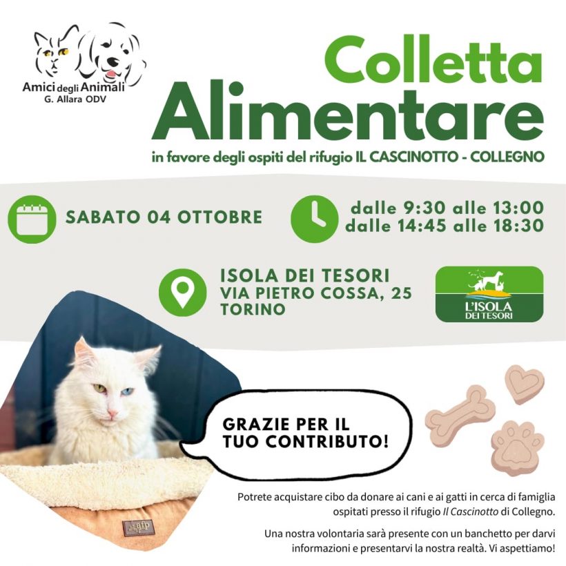 Colletta alimentare sabato 4 ottobre. Vi aspettiamo!