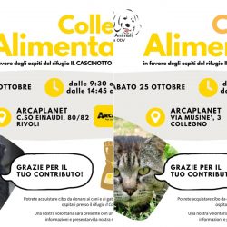 Doppia Colletta alimentare sabato 25 ottobre. Vi aspettiamo!