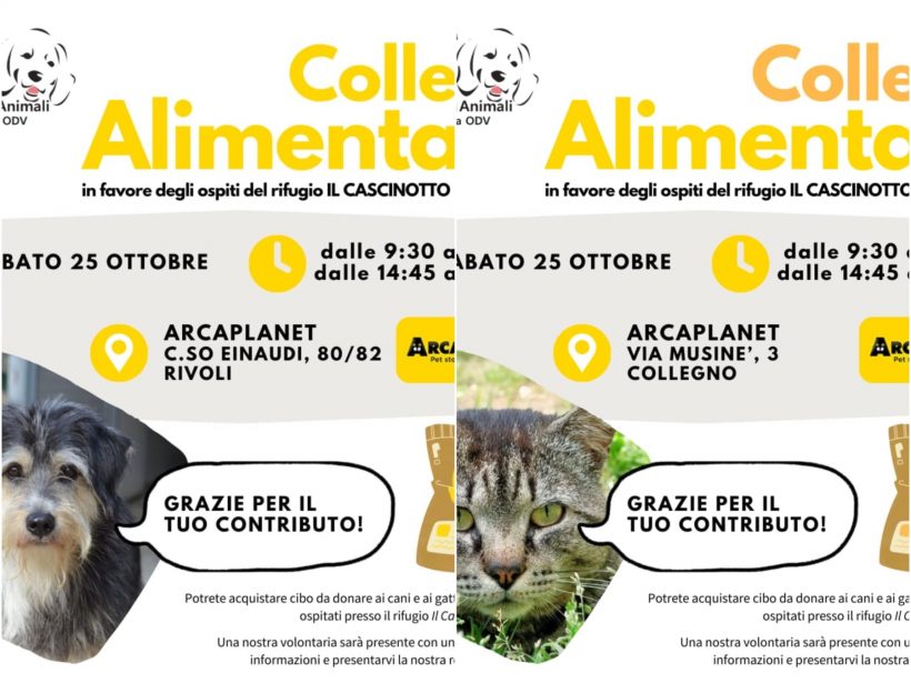 Doppia Colletta alimentare sabato 25 ottobre. Vi aspettiamo! Doppia Colletta alimentare sabato 25 ottobre. Vi aspettiamo!