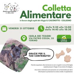 Colletta alimentare venerdì 31 ottobre. Vi aspettiamo!