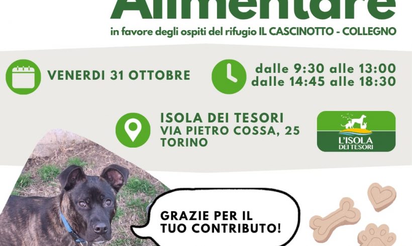 Colletta alimentare venerdì 31 ottobre. Vi aspettiamo!