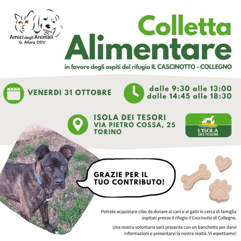 Colletta alimentare venerdì 31 ottobre. Vi aspettiamo! Colletta alimentare venerdì 31 ottobre. Vi aspettiamo!