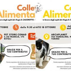 Doppia Colletta alimentare sabato 18 ottobre. Vi aspettiamo!