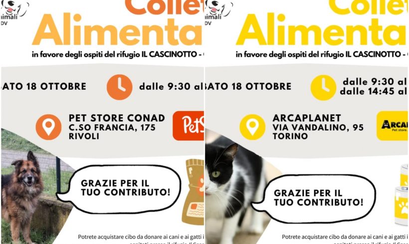 Doppia Colletta alimentare sabato 18 ottobre. Vi aspettiamo! Doppia Colletta alimentare sabato 18 ottobre. Vi aspettiamo!