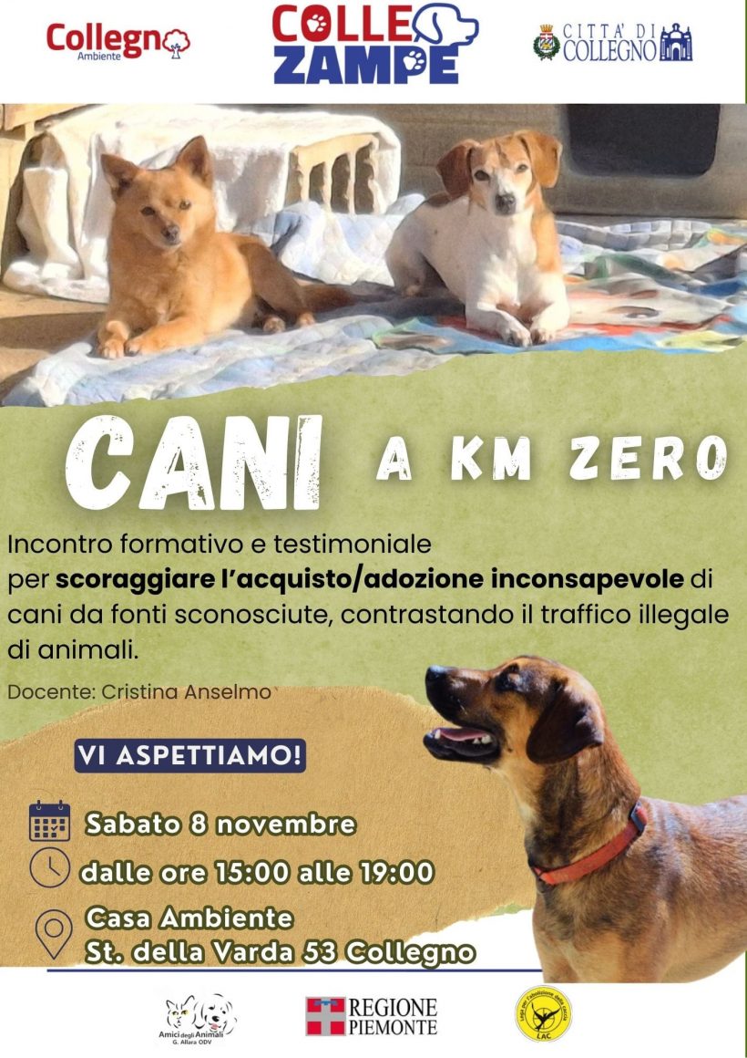 Cani a Km Zero – Incontri di consapevolezza sull’adozione del cane Cani a Km Zero – Incontri di consapevolezza sull’adozione del cane