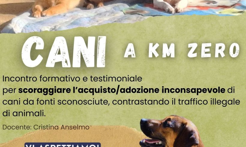 Cani a Km Zero – Incontri di consapevolezza sull’adozione del cane Cani a Km Zero – Incontri di consapevolezza sull’adozione del cane