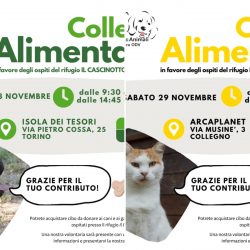 Doppia Colletta alimentare venerdì 28 e sabato 29 novembre. Vi aspettiamo!