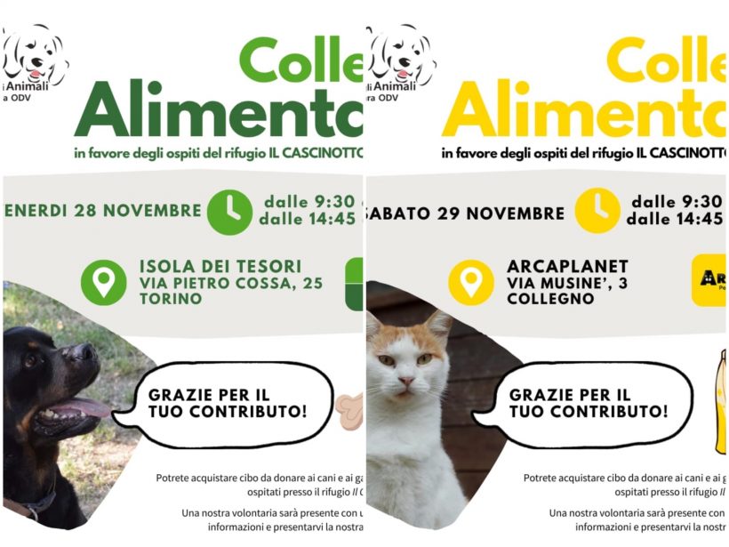Doppia Colletta alimentare venerdì 28 e sabato 29 novembre. Vi aspettiamo!