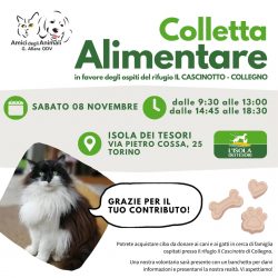 Colletta alimentare sabato 8 novembre. Vi aspettiamo!