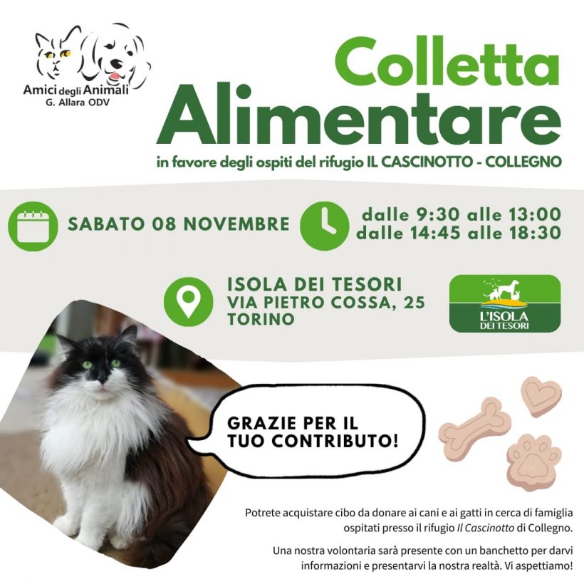 Colletta alimentare sabato 8 novembre. Vi aspettiamo!