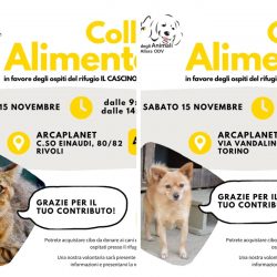 Doppia Colletta alimentare sabato 15 novembre. Vi aspettiamo!
