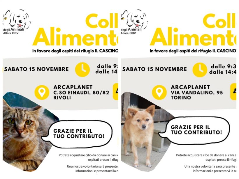 Doppia Colletta alimentare sabato 15 novembre. Vi aspettiamo! Doppia Colletta alimentare sabato 15 novembre. Vi aspettiamo!