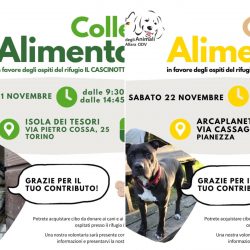 Doppia Colletta alimentare venerdì 21 e sabato 22 novembre. Vi aspettiamo!