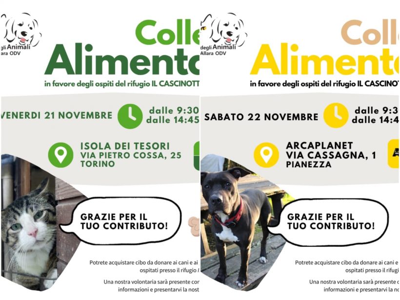 Doppia Colletta alimentare venerdì 21 e sabato 22 novembre. Vi aspettiamo!