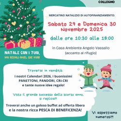 Festa di Natale al Cascinotto! 29 e 30 novembre. Vi aspettiamo!