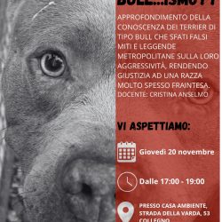 Bullismo – Incontri di consapevolezza sull’adozione del cane