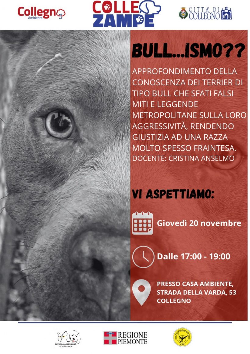 Bullismo – Incontri di consapevolezza sull’adozione del cane