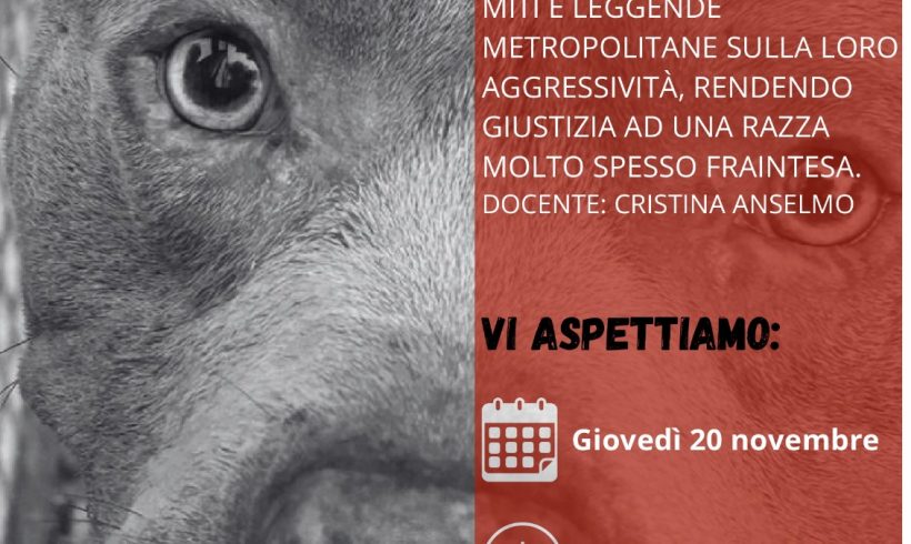 Bullismo – Incontri di consapevolezza sull’adozione del cane