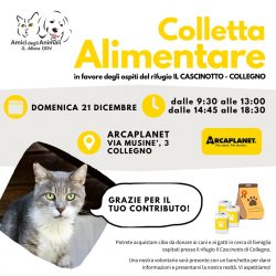 Colletta alimentare domenica 21 dicembre. Vi aspettiamo!