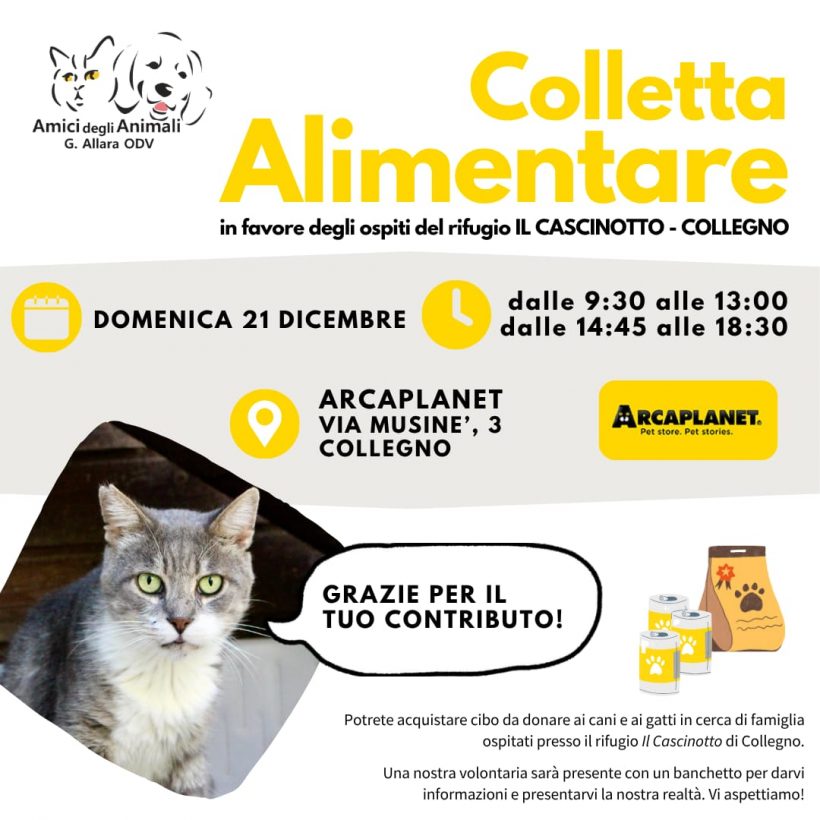 Colletta alimentare domenica 21 dicembre. Vi aspettiamo!