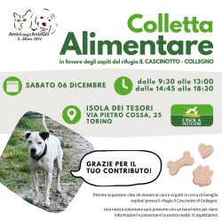 Colletta alimentare sabato 6 dicembre. Vi aspettiamo!