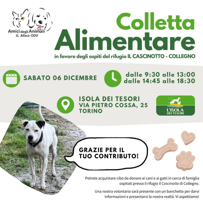Colletta alimentare sabato 6 dicembre. Vi aspettiamo!