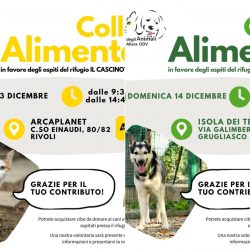 Doppia Colletta alimentare sabato 13 e domenica 14 dicembre. Vi aspettiamo!