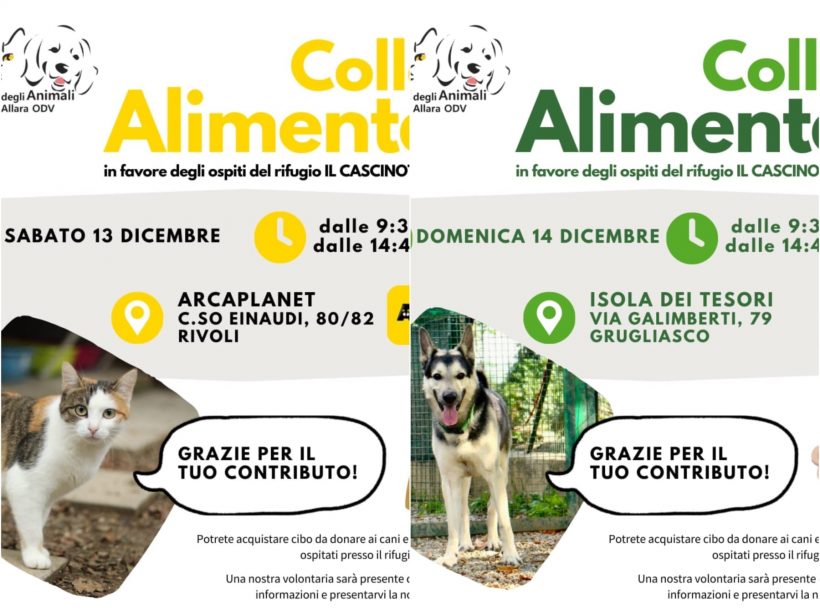 Doppia Colletta alimentare sabato 13 e domenica 14 dicembre. Vi aspettiamo! Doppia Colletta alimentare sabato 13 e domenica 14 dicembre. Vi aspettiamo!