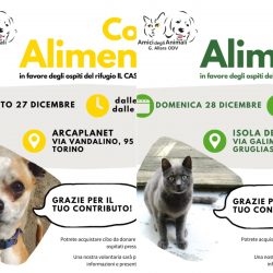 Doppia Colletta alimentare sabato 27 e domenica 28 dicembre. Vi aspettiamo!