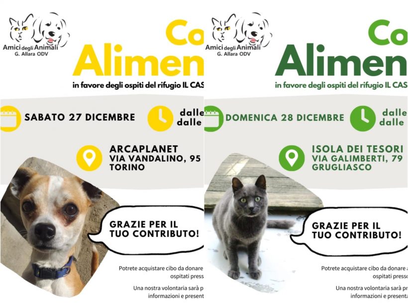 Doppia Colletta alimentare sabato 27 e domenica 28 dicembre. Vi aspettiamo!