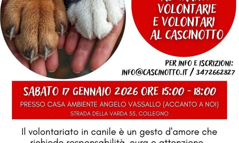 Incontro formativo per diventare volontario! Appuntamento il 17 gennaio 2026