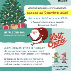 Ultimo mercatino di Natale! Vi aspettiamo il 13 dicembre!