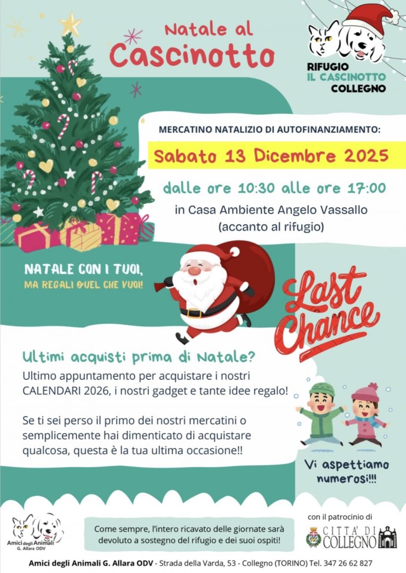 Ultimo mercatino di Natale! Vi aspettiamo il 13 dicembre! Ultimo mercatino di Natale! Vi aspettiamo il 13 dicembre!