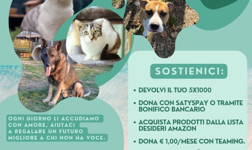 Aiutaci ad aiutarli! Come sostenerci