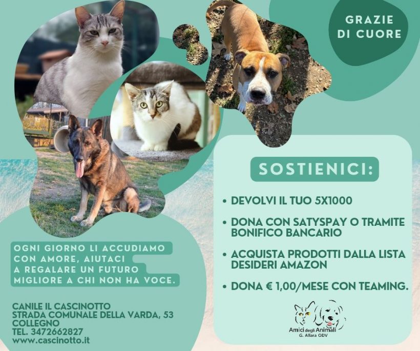 Aiutaci ad aiutarli! Come sostenerci