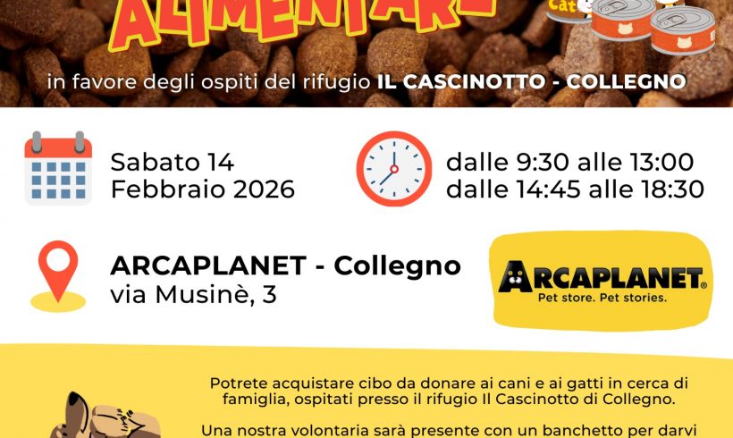Colletta alimentare sabato 14 febbraio. Vi aspettiamo!