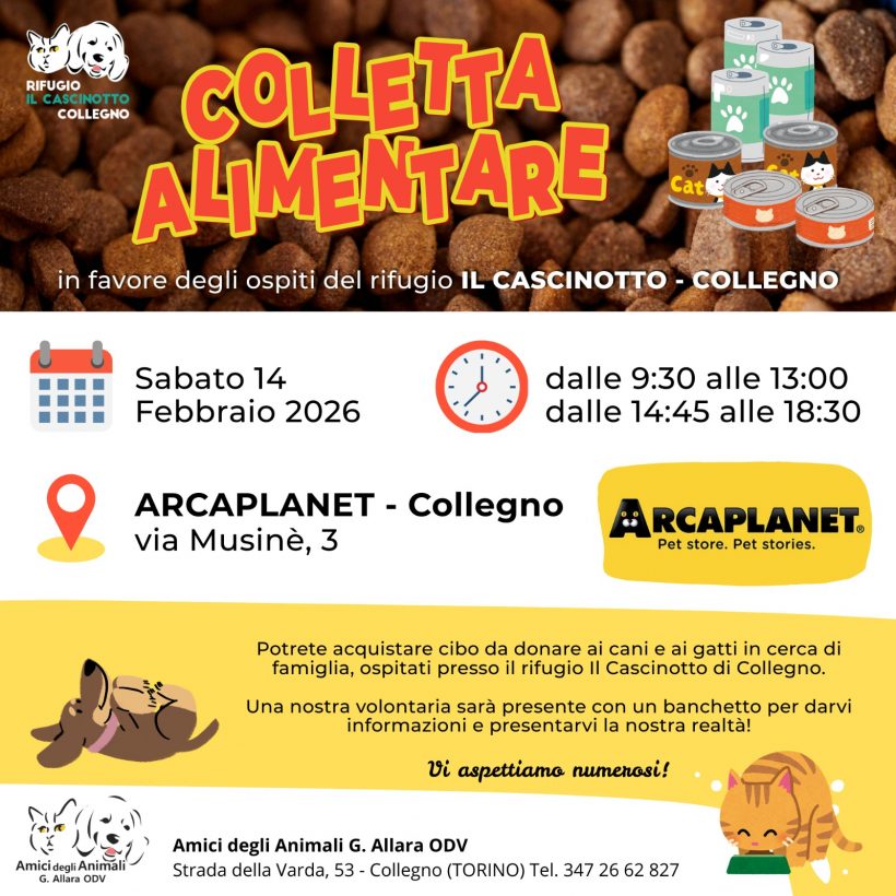 Colletta alimentare sabato 14 febbraio. Vi aspettiamo!