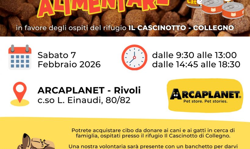 Colletta alimentare sabato 7 febbraio. Vi aspettiamo!