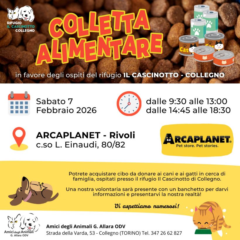 Colletta alimentare sabato 7 febbraio. Vi aspettiamo!