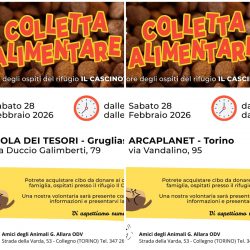 Doppia Colletta alimentare sabato 28 febbraio. Vi aspettiamo!