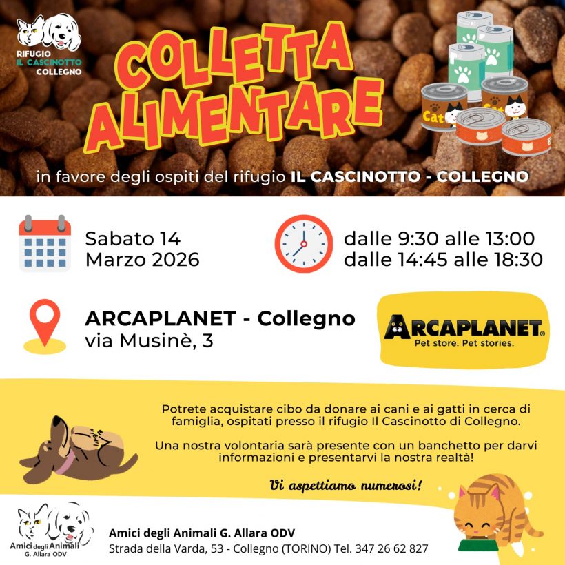 Colletta alimentare sabato 14 marzo. Vi aspettiamo!
