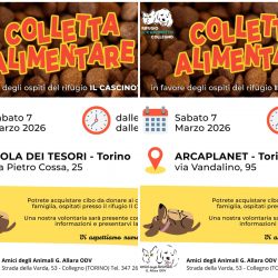 Doppia Colletta alimentare sabato 7 marzo. Vi aspettiamo!