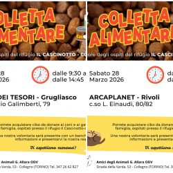 Doppia Colletta alimentare sabato 28 marzo. Vi aspettiamo!