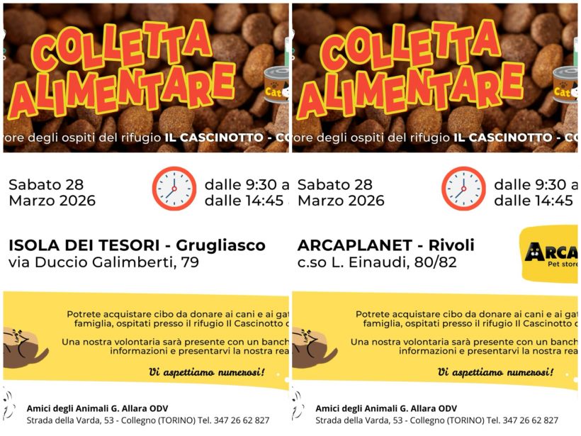 Doppia Colletta alimentare sabato 28 marzo. Vi aspettiamo! Doppia Colletta alimentare sabato 28 marzo. Vi aspettiamo!