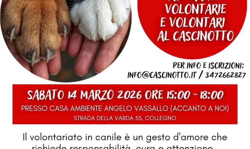 Incontro formativo per diventare volontario! Appuntamento il 14 marzo 2026