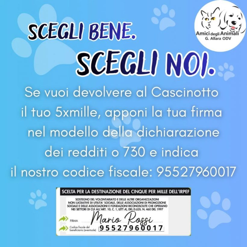 Il 5xmille per il Cascinotto!